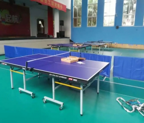比赛用乒乓球地胶PVC地板