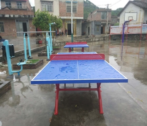 柳州柳州乒乓球台批发，红双喜乒乓球台代理