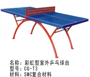 CG-T3 室外乒乓球台标准户外乒乓球台SMC乒乒球桌家用小区学校社区
