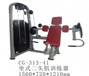 融安CG-313-41 商用坐式推肩训练器健身房肩部推举综合器材推肩器二头肌神器