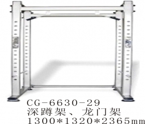 CG-6630-29多功能家用深蹲架框式龙门架健身杠铃架卧推架综合训练器材组合