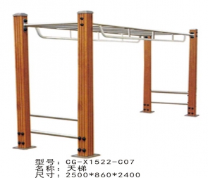 CG-X1522-C07 新耐用塑木型臂部锻炼器械攀爬云梯天梯运动室外健身器材