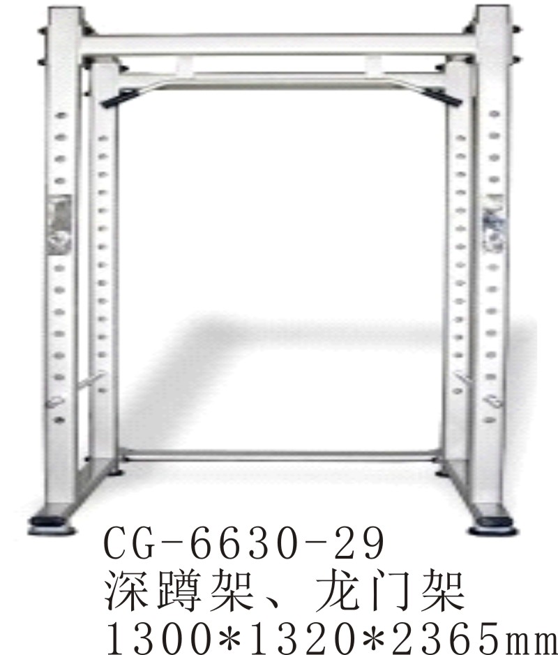 CG-6630-29多功能家用深蹲架框式龙门架健身杠铃架卧推架综合训练器材组合