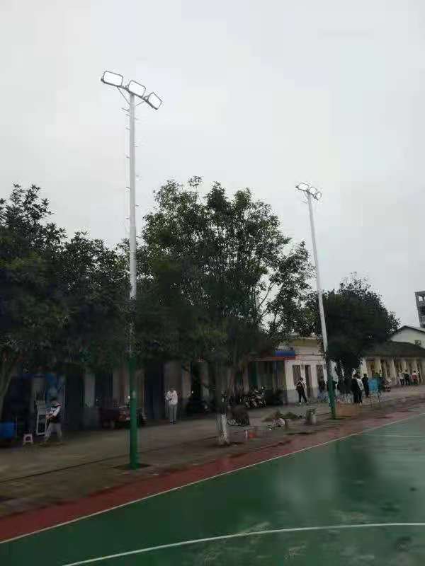 柳州市沙塘镇广西农牧工程学校订制款10米球场灯光安装