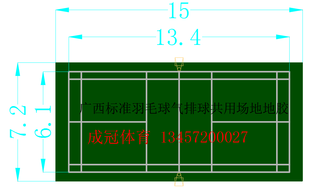 广西标准羽毛球气排球共用场地地胶